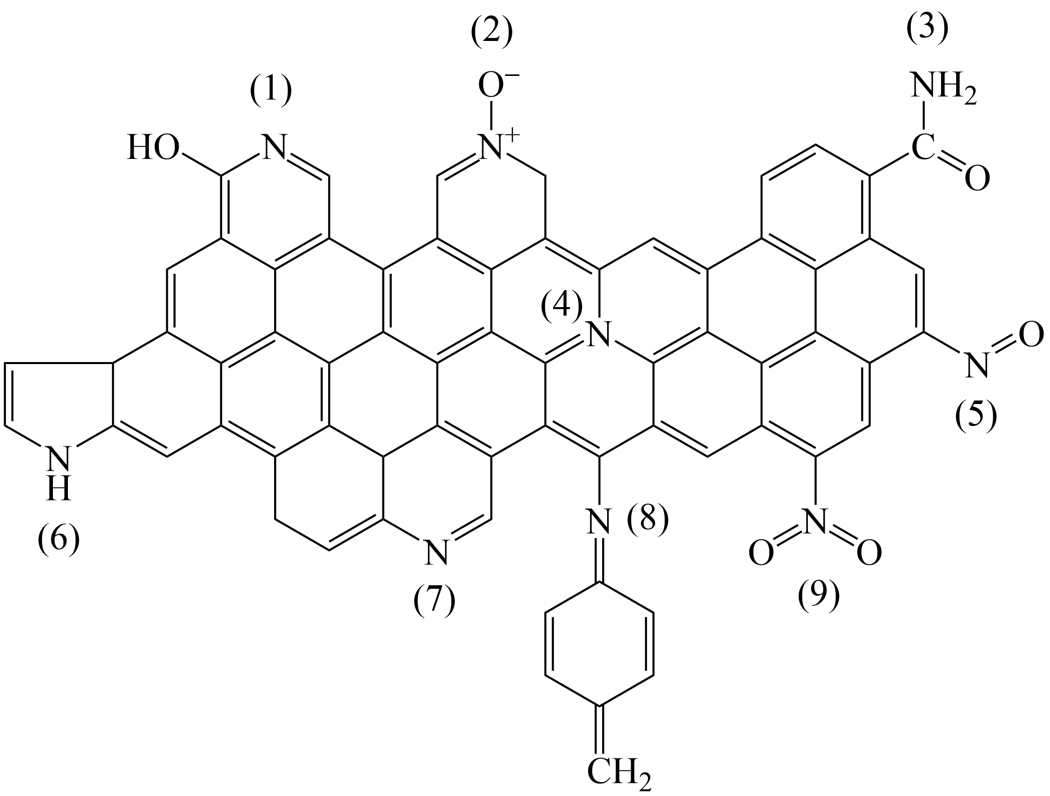 多孔質炭素ＭＨ その他医薬品